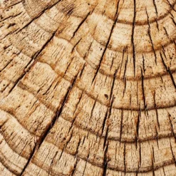 Indoor/Outdoor Faux Concrete Stump Accent Table Brown - Threshold™ Designed With Studio McGee 6 Indoor/Outdoor Faux Concrete Stump Accent Table Brown - Threshold™ Designed With Studio McGee -Threshold Furnish Shop GUEST 03deabfd 2b62 4725 94b4 09a321ea8678