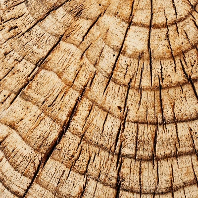 Indoor/Outdoor Faux Concrete Stump Accent Table Brown - Threshold™ designed with Studio McGee Indoor/Outdoor Faux Concrete Stump Accent Table Brown - Threshold™ Designed With Studio McGee -Threshold Furnish Shop GUEST 03deabfd 2b62 4725 94b4 09a321ea8678