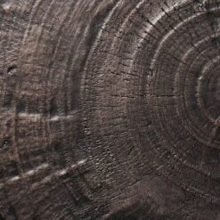 Grantsville Drum Accent Table Black - Threshold™ Designed With Studio McGee -Threshold Furnish Shop GUEST 2a48e59f 9a1e 4d95 a641 6710dbd36ebe